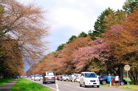 2012-5-9静内 002.jpg